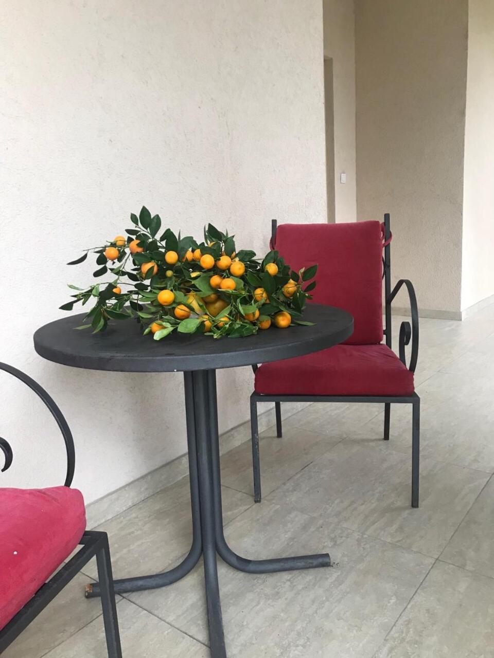 Studio Apartment Vukcevic Подгорица Экстерьер фото